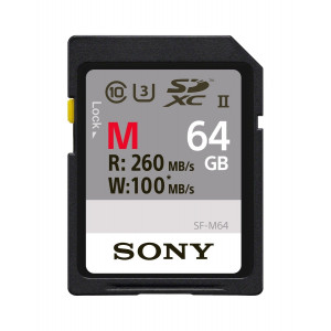 Sony 64 GB SDXC Secure Digital Flash Speicherkarte - Extra Professional Series Class 10 uhs-ii/U3 (Lesen 260 MB/s Schreiben 100 MB/s) - sf64 m-21